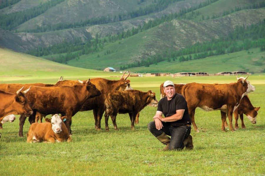 ボルガン県に住むカナダ人のジェレミさん モンゴル産の美味しい牛肉を輸出可能