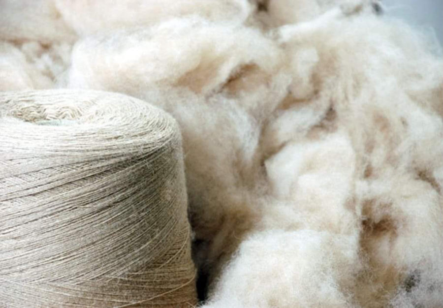 Mongolia supplying 45 percent of unprocessed cashmere in global market