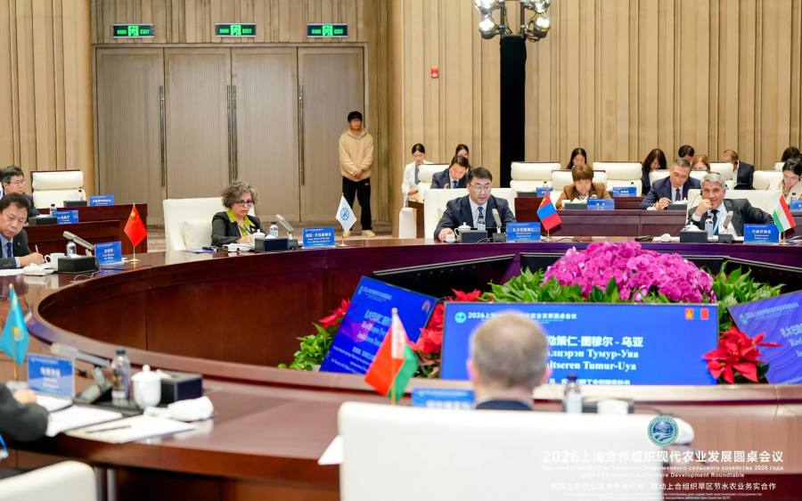 Хамтын ажиллагааны дөрвөн чиглэлийг санал болголоо