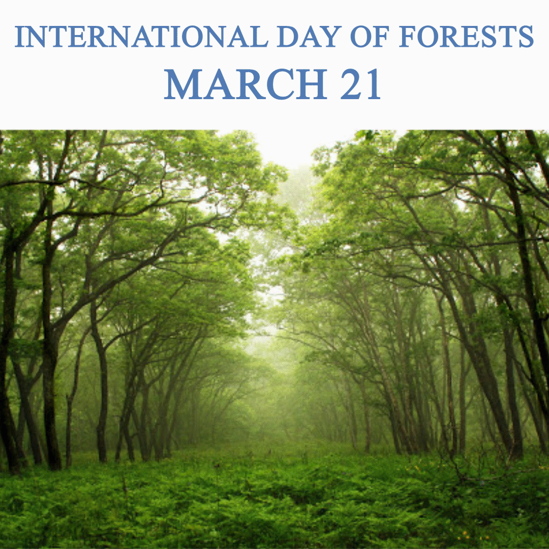 International day of Forests March 21